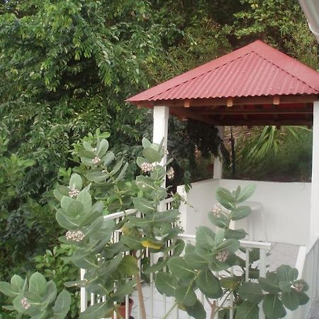 Studio De Charme Au Coeur Du Village, Vue Baie Terre-De-Haut Dış mekan fotoğraf