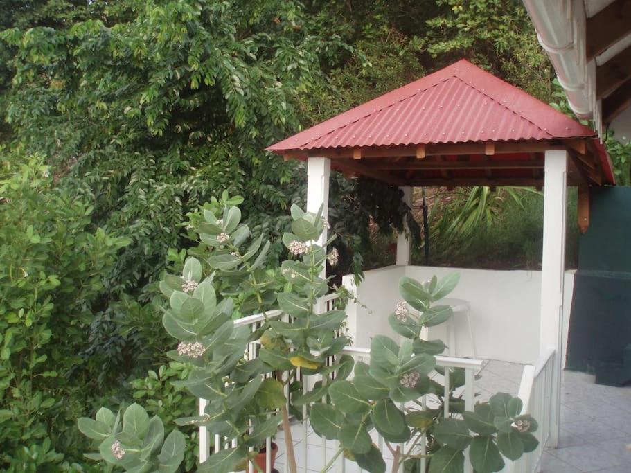 Studio De Charme Au Coeur Du Village, Vue Baie Terre-De-Haut Dış mekan fotoğraf